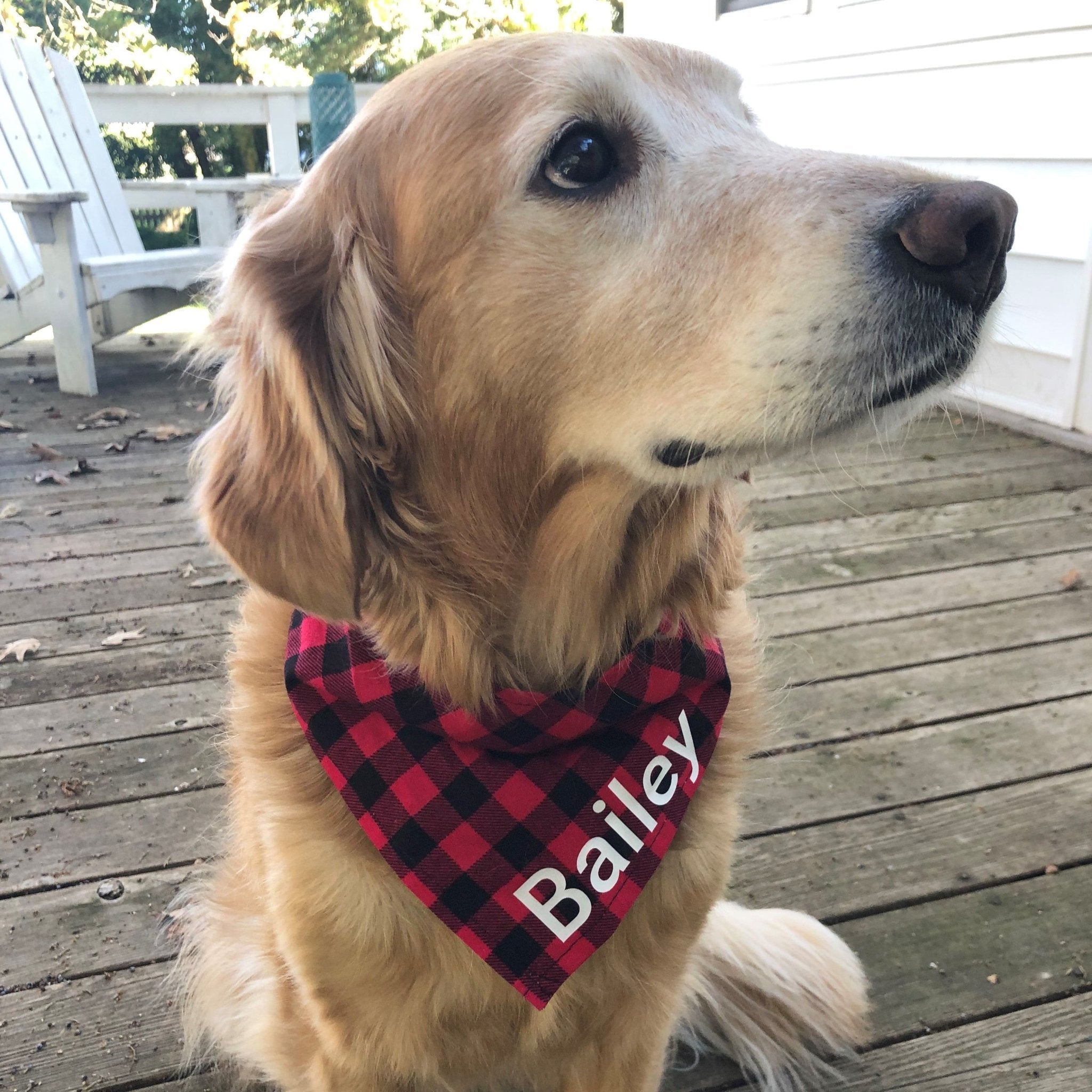 Monogrammed dog bandana best sale